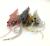 savage-gear-manic-shrimp-3d-10cm-zestaw-gum-krewetki-robaki-uzbrojone (4).jpg
