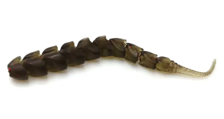 przynety-spinningowe-gumy-prospin-spike-7 (2).jpg