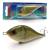 blik-tonacy-wobler-8,5cm-dorado-gro.jpg