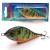 blik-tonacy-wobler-8,5cm-dorado-tp.jpg