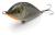 drunk-tonacy-wobler-7cm-dorado-ss (2).jpg