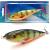 jumper-tonacy-wobler-12cm-dorado-ph.jpg
