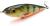 jumper-tonacy-wobler-12cm-dorado-ph (2).jpg