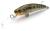 stick-plywajacy-wobler-5,5cm-dorado-go (0).jpg