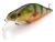 tempter-plywajacy-wobler-10cm-dorado-ph (2).jpg