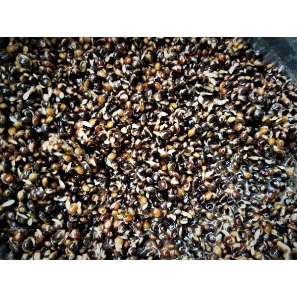konopia-gotowana-1kg-1.jpg