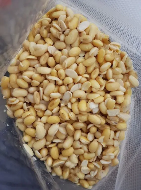 soja-gotowana-1kg-2.JPG