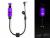 sygnalizator-bran-bonito-light-bobbin-zfish-PURPUROWY-FIOLETOWY-1.jpg
