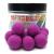 wafter-boilies-fantazy-baits-squid.jpg