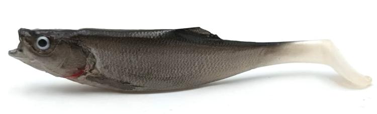 przynęta-gumowa-guma-spinningowa-jak-sewro-alpha-real-11cm-ukleja-naturalna-srebrna (2).jpg