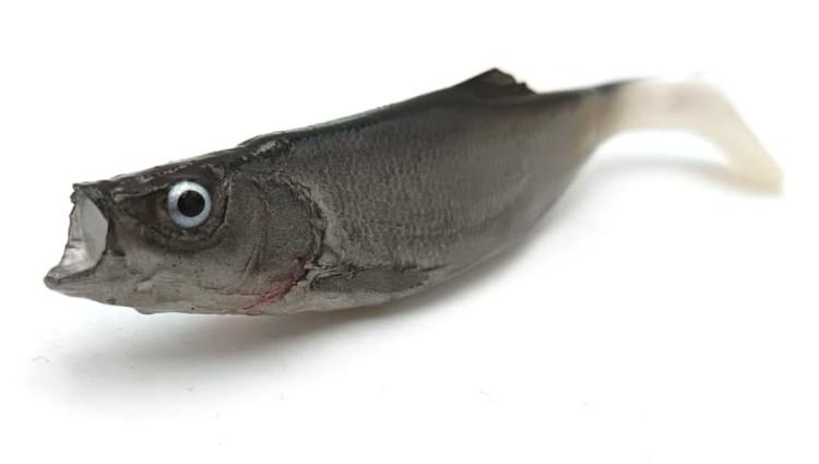 przynęta-gumowa-guma-spinningowa-jak-sewro-alpha-real-11cm-ukleja-naturalna-srebrna (3).jpg