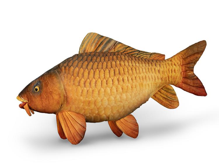 1c4d749143f0942065c862d805df3797.jpg