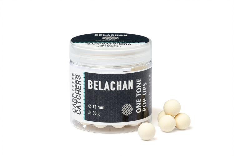 belachan12_2.jpg