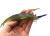 dam-effzett-split-tail-19cm-uzbrojone-gumy-na-szczupaka-dozbrojka (4).jpg