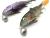 DAM-EFFZETT-PIKE-SEDUCER-23CM-UZBROJONE-GUMY-NA-SZCZUPAKA-DOZBROJKA-ZESTAW (2).jpg