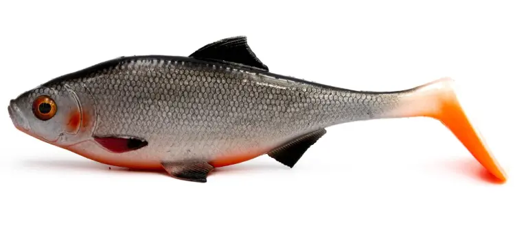 uzbrojone-gumki-mikado-mft-roach-13cm-na-szczupaka-dozbrojka-podobne-do-ricky-the-roach-3.jpeg
