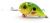 alaska-plywajacy-wobler-dorado-5cm-ag (2).jpeg
