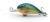 blagier-plywajacy-wobler-3,5cm-dorado-bal (3).jpeg