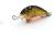 blagier-plywajacy-wobler-3,5cm-dorado-gal (3).jpeg