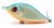 drunk-tonacy-wobler-7cm-dorado-bp (2).jpeg