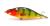 tempter-plywajacy-wobler-14cm-dorado-rhp (3).jpeg