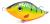 wobler-przyneta-jerk-slider-dayer-shox-ds15-fire-tiger-black (1).jpeg
