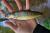 GUMA-GREAT-FISH-GF1-49MM-BLUE-PEARL (4).jpg