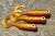 great-fish-gf1-twister-49mm-gold (5).jpg