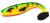 GUMA-GREAT-FISH-ROCKY-13CM-CRAZY-PERCH (1).jpeg