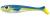 GUMA-GREATFISH-ROACKY-SLIM-14CM-COSMIC-BLUE (2).jpeg
