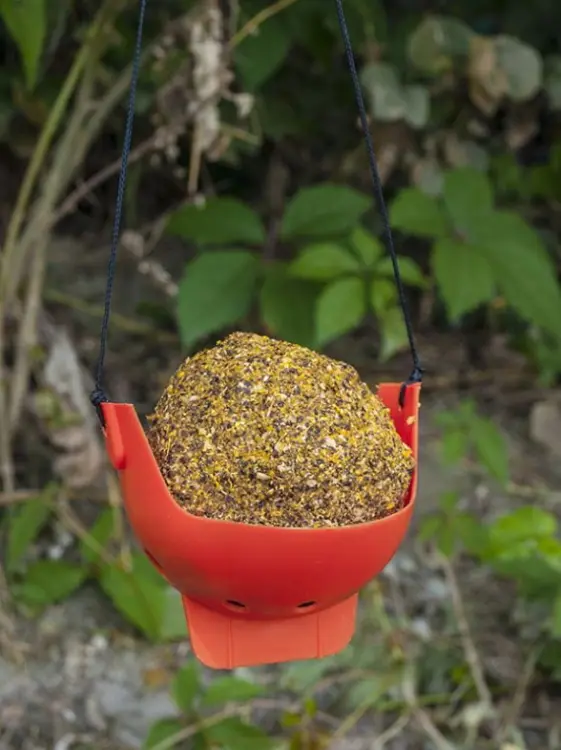 csl cornkiller 4.JPG