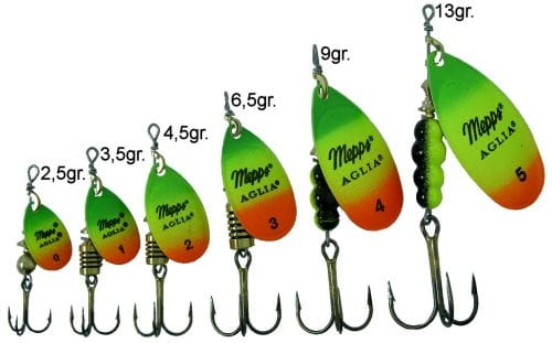 AGLIA FLUO RAZEM.jpg