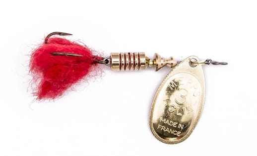 aglia pompon złota.jpg