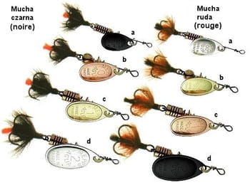 aglia mouche razem.jpg