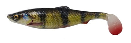 4D-HERRING-SHAD - Kopia (3).jpg