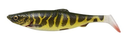 4D-HERRING-SHAD - Kopia (4).jpg