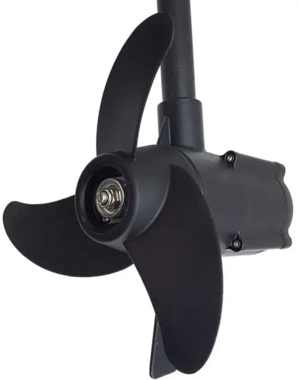 20mm.jpg