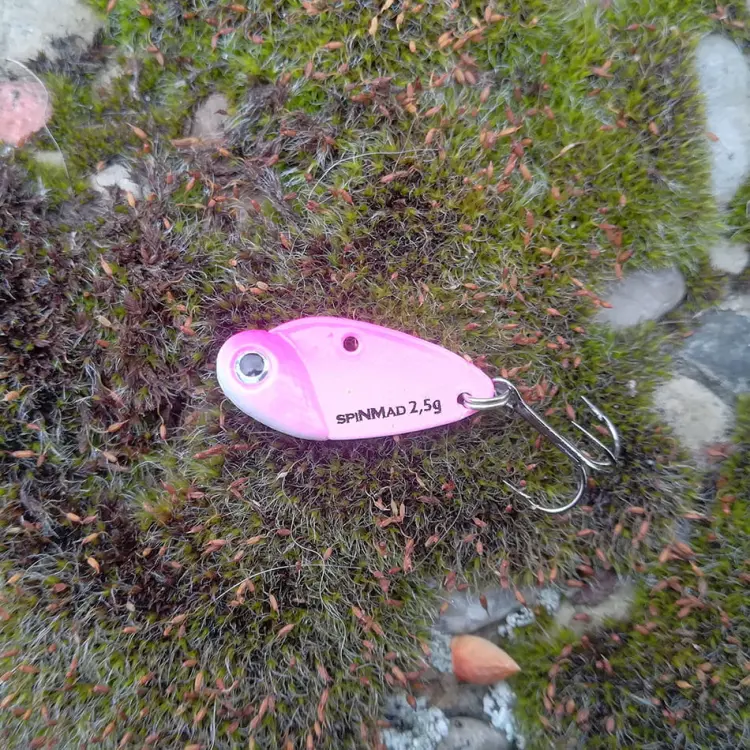 cykada-spinmad-cma-2,5g-nowy-kolor-rozowa-2.jpg