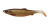 Savage-Gear-4D-HERRING-SHAD-9cm-Edycja-Limitowana-Dirty-Roach.png