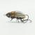 woblerek-na-wzdregi-klenie-jazie-microbait-colorado-beetle-pearl-brown-41-1.jpg