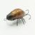 woblerek-na-wzdregi-klenie-jazie-microbait-carabu-dark-brown-05-2.jpg