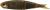 soft-4play-motoroil-savage-1.jpg