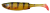 Guma-Savage-Gear-Craft-Shad-perch-1.Png