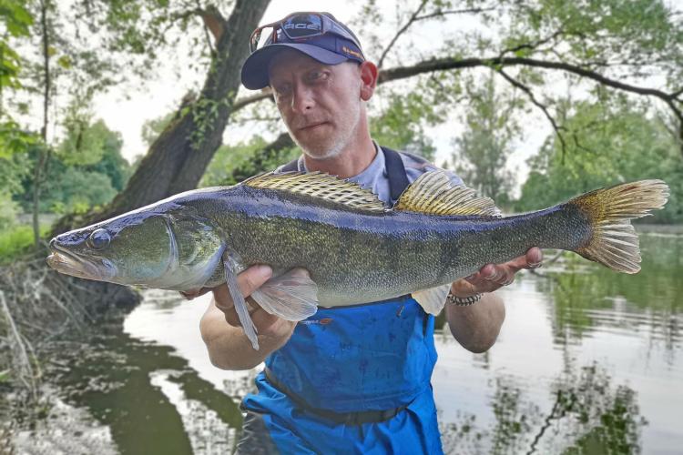 Guma-Savage-Gear-Craft-Shad-3.jpg