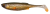 Guma-Savage-Gear-Craft-Shad-green-silver-1.Png