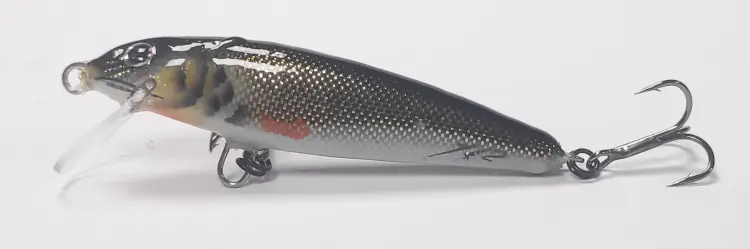 wobler-jr-koza-plywajacy (3).jpg