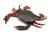 MANIC-CRAB-PRZYNETA-GUMOWA-SAVAGE-GEAR-RED-BLACK-5.jpg