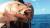 MANIC-CRAB-PRZYNETA-GUMOWA-SAVAGE-GEAR-1.jpg