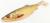 przyneta-gumowa-killer-na-sandacza-savage-gear-herring-shad-11cm- (3).jpg