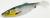 przyneta-gumowa-killer-na-sandacza-savage-gear-herring-shad-11cm- (1).jpg
